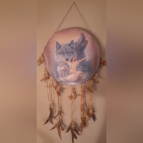Beautiful Native American Style Dreamcatcher Drum With A Woman And Wolves - Picture 1 of 5